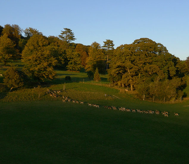 Stonor Manor Walking & Cycling Thumbnail