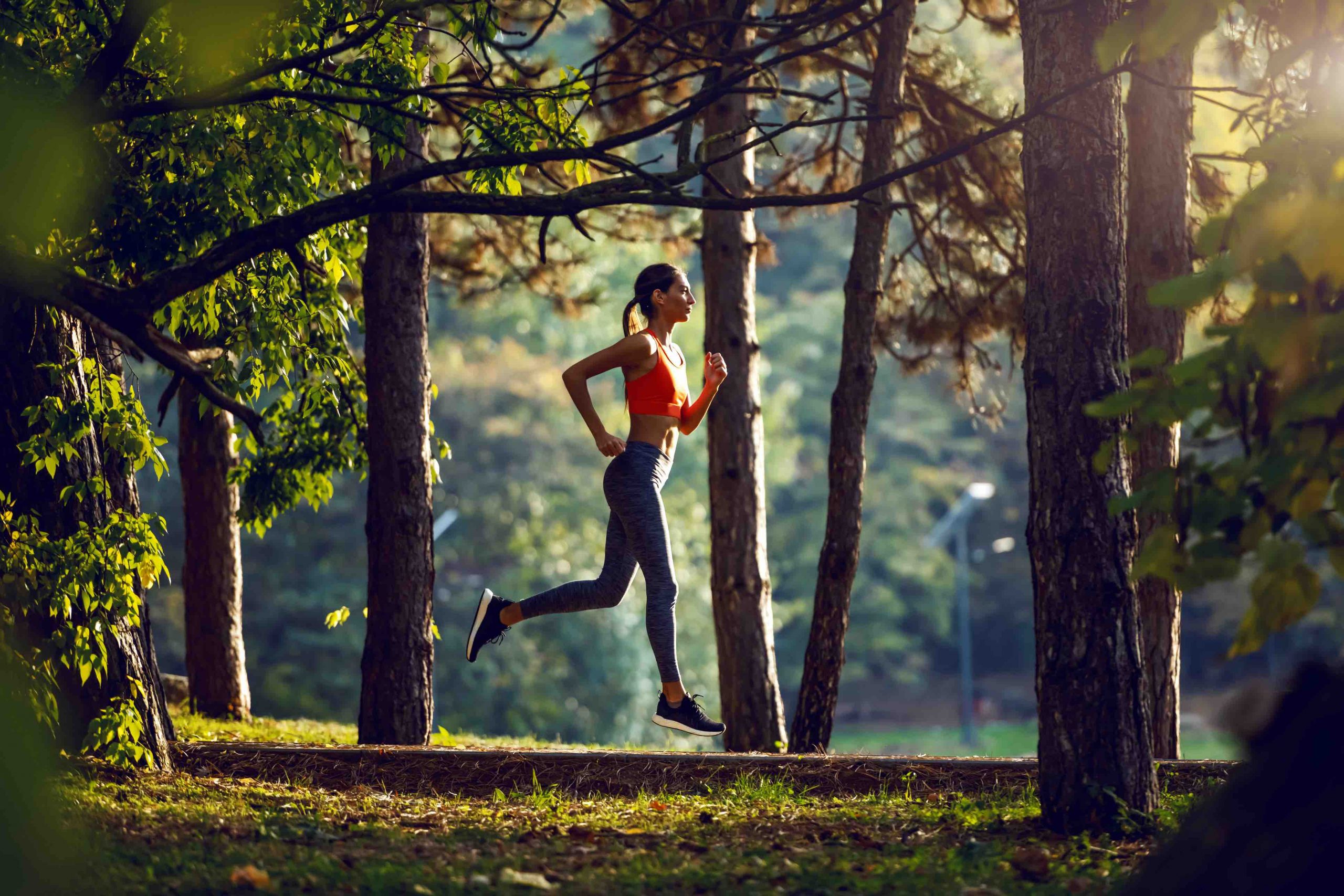Stonor ParkFit