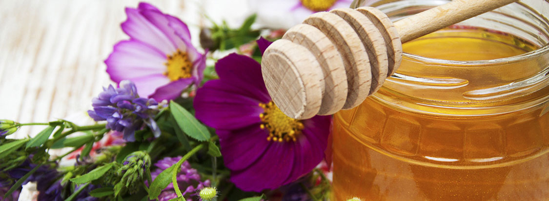 Stonor Manor Gift Shop Banner