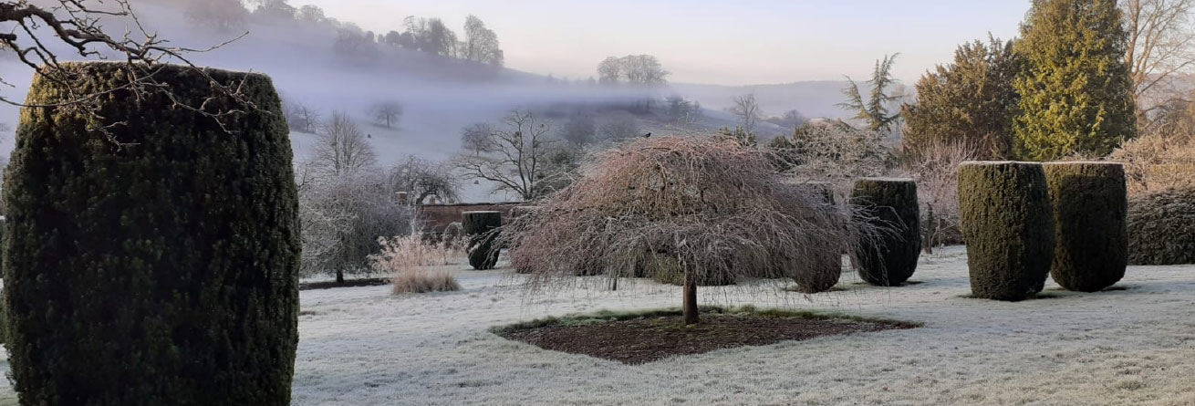 Stonor Manor Snow Capped Garden