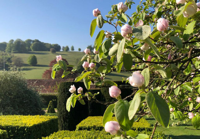 Stonor Manor Spring Blossom