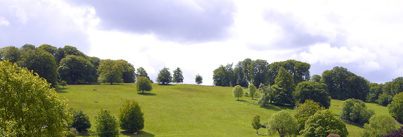 Stonor Park Walking Cycling Routes