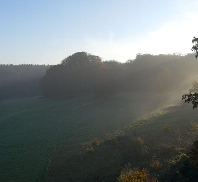 Formal garden with manicured lawn, central urn and flowerbeds, leading to an ivy-clad brick house backed by rolling green hills.