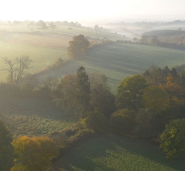 Formal garden with manicured lawn, central urn and flowerbeds, leading to an ivy-clad brick house backed by rolling green hills.