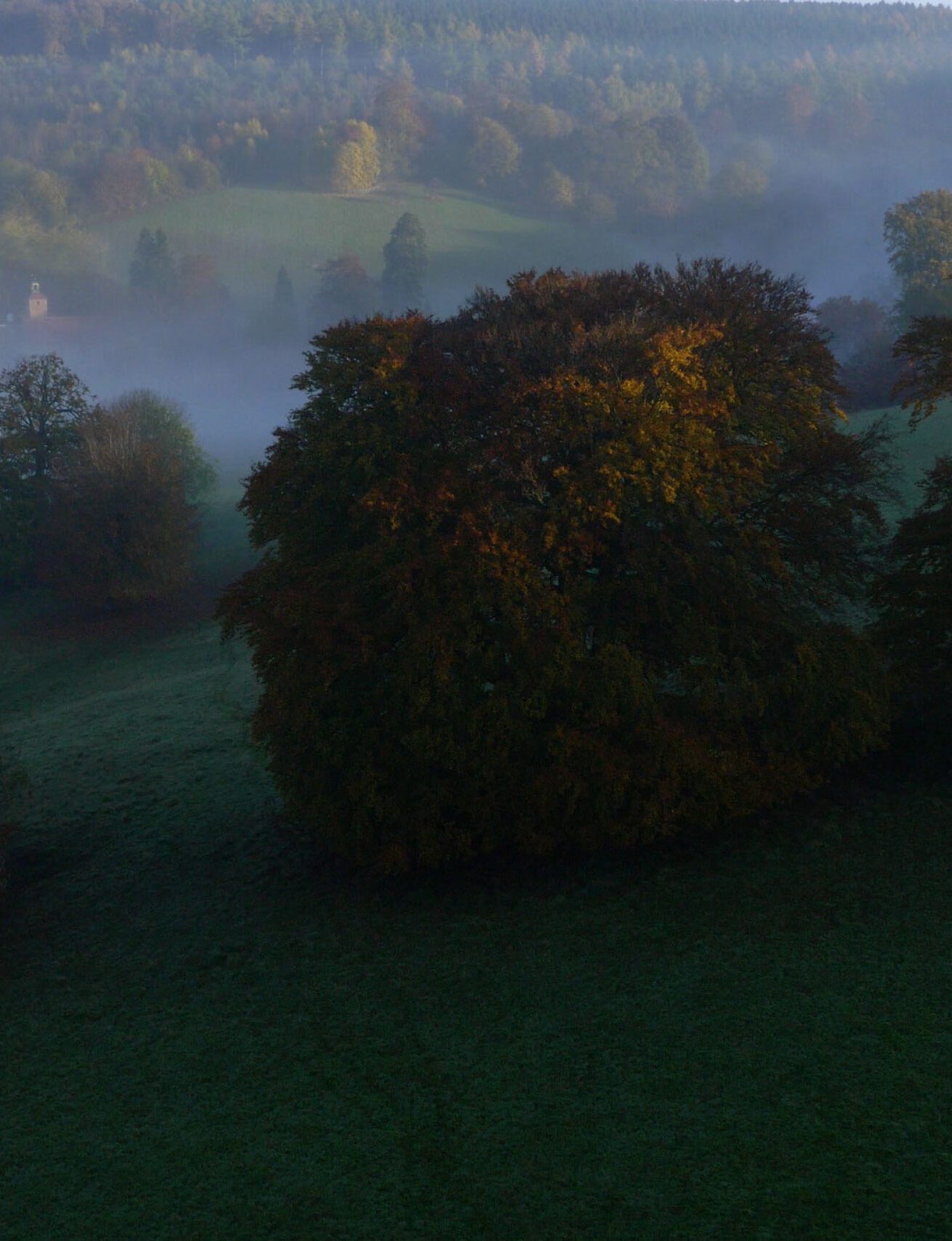Misty morning landscape with tree-covered hills and soft fog settling over a green valley and distant countryside.