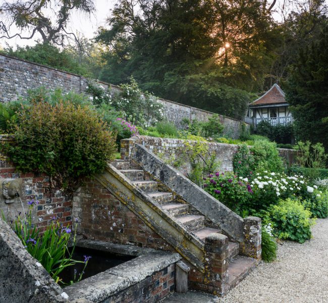 Garden with stone steps, lush greenery and a gravel path leading to a house under tall trees at sunset.
