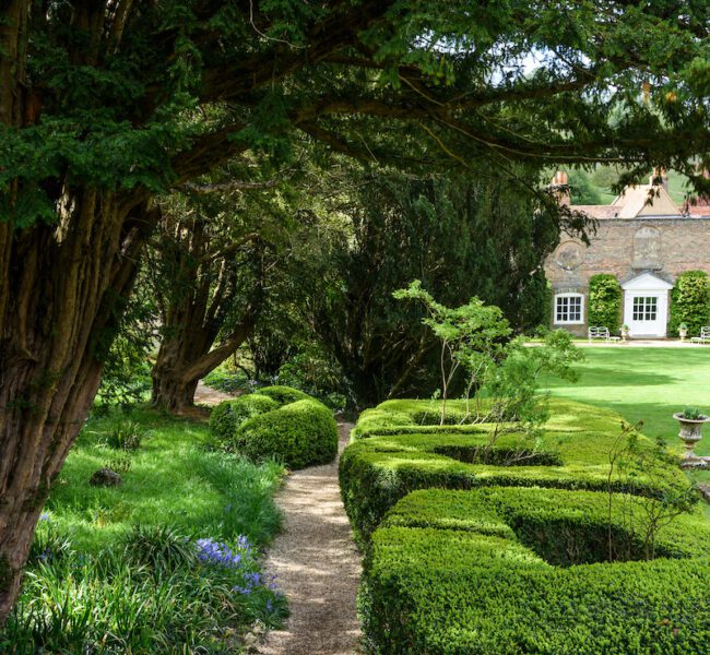Shaded garden path lined with yew trees and clipped box hedges, leading towards traditional house with white-framed windows.