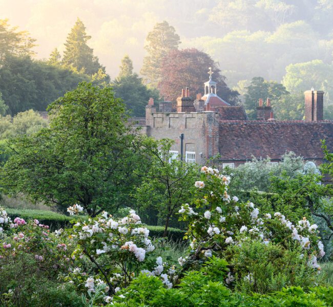Historic country house with brick chimneys and weather vane, seen through flowering trees and misty morning woodland.