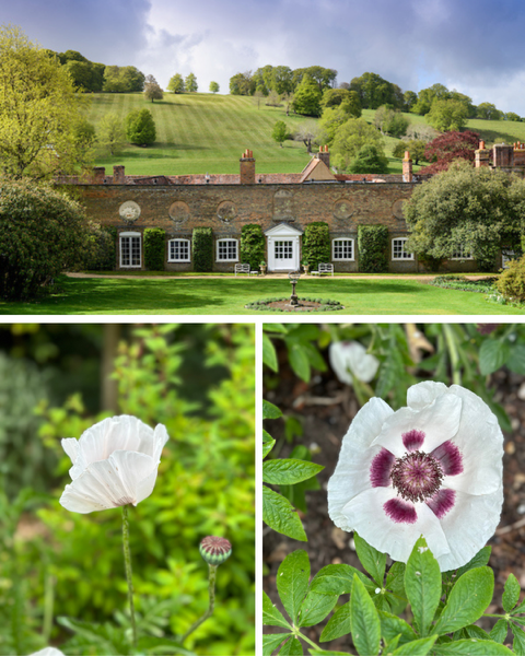 National Garden Scheme at Stonor Park