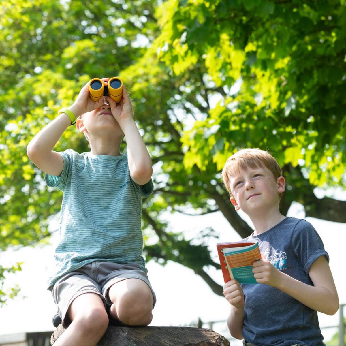 Explore the woods and paths at Stonor Park