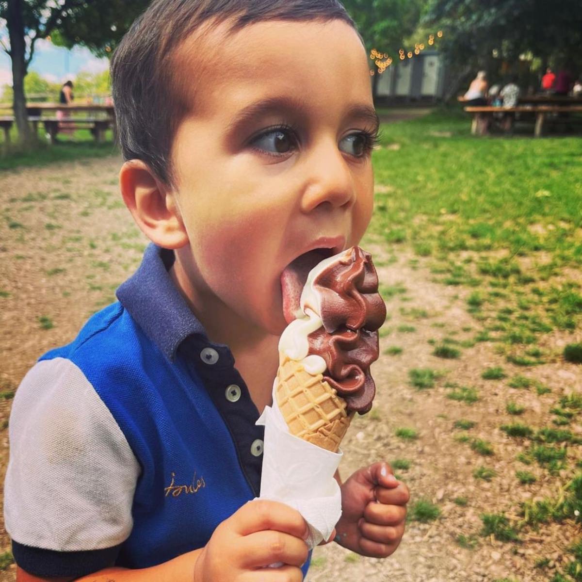 The very best ice cream at Stonor this Wild Summer