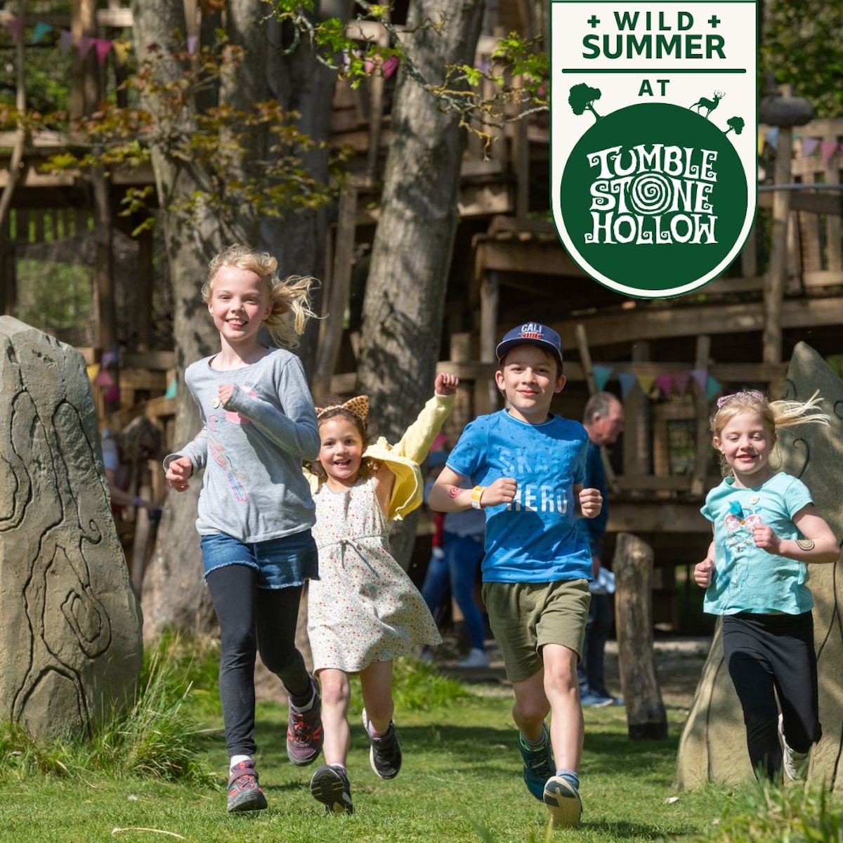 Wild Summer at Tumblestone Hollow