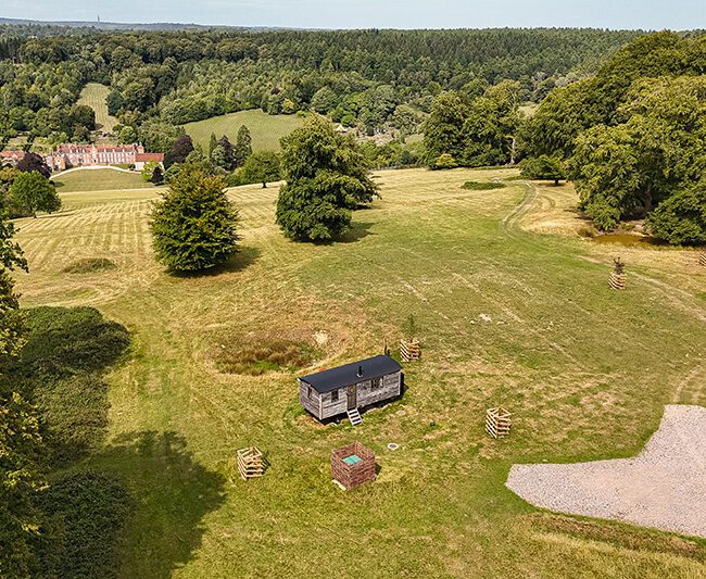 Drone shot of Quercus