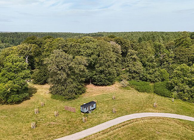 Drone shot of Redwood