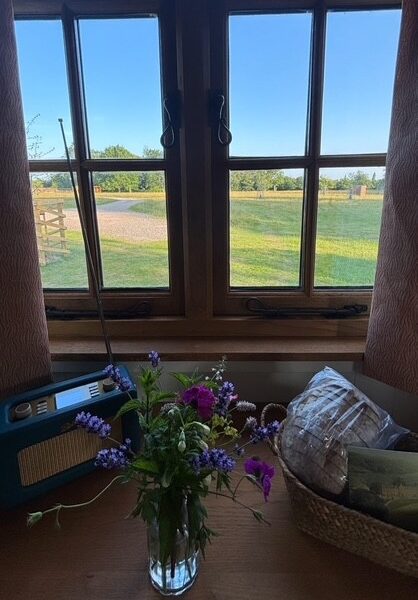 Flowers in a window setting