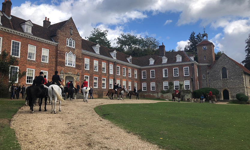 Horses in front of Stonor